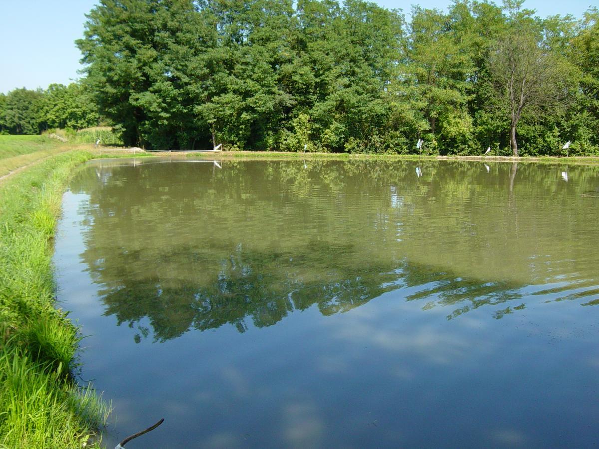 Le Risaie Bauernhof