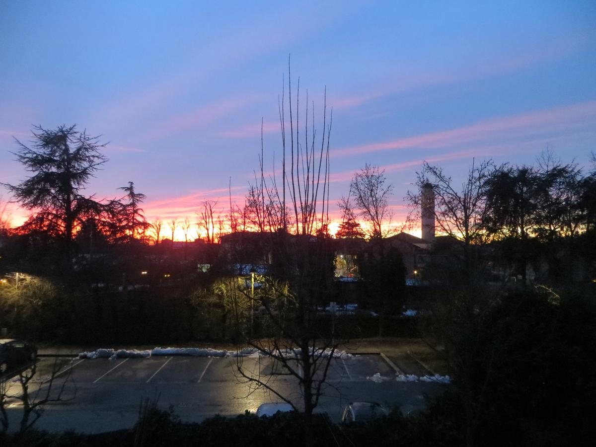 Le Risaie *